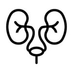 urology care by dr abhishek kr singh urologist in lucknow